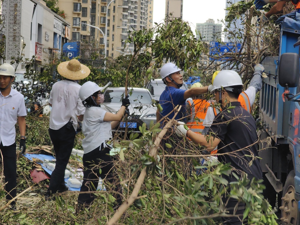 抗击台风，重建海南——海南分公司党支部组织志愿者清障行动.jpg